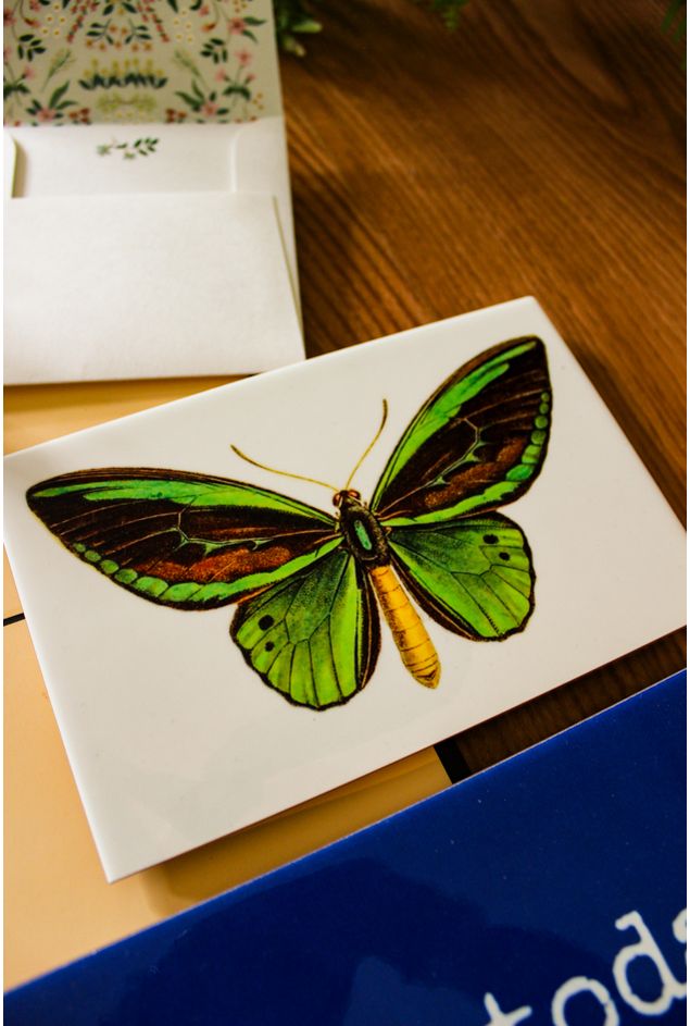 Kit Presente Liberdade -1-